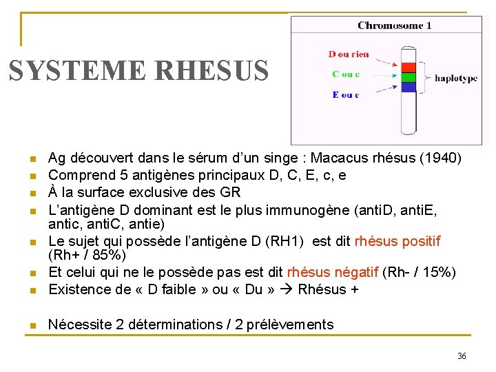 SYSTEME RHESUS n Ag découvert dans le sérum d’un singe : Macacus rhésus (1940)