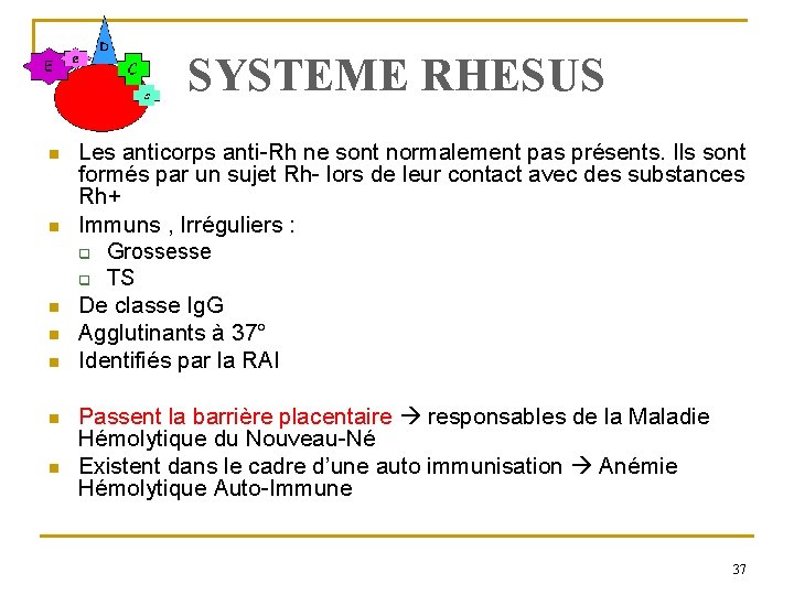 SYSTEME RHESUS n n n n Les anticorps anti-Rh ne sont normalement pas présents.