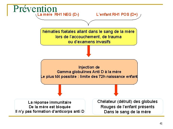 Prévention La mère RH 1 NEG (D-) L’enfant RH 1 POS (D+) hématies fœtales