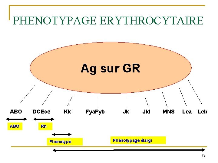 PHENOTYPAGE ERYTHROCYTAIRE Ag sur GR ABO DCEce Kk Fya. Fyb Jk Jkl MNS Lea