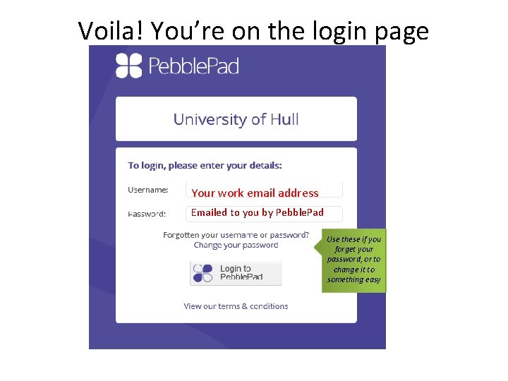 Voila! You’re on the login page Your work email address Emailed to you by
