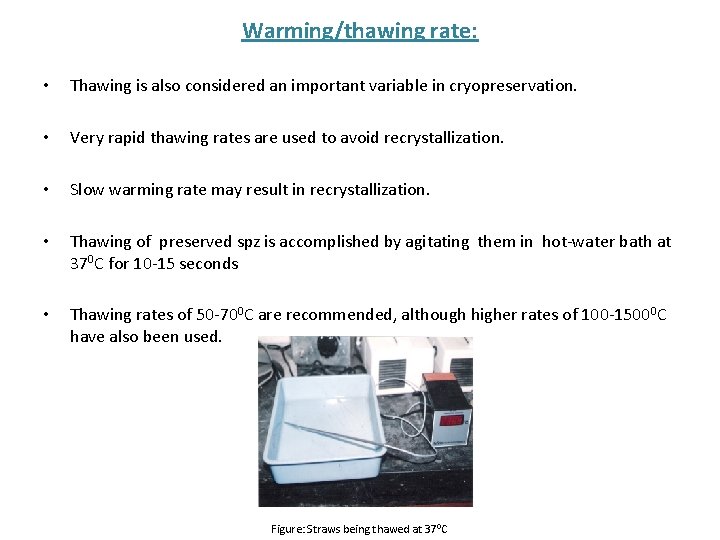 Warming/thawing rate: • Thawing is also considered an important variable in cryopreservation. • Very