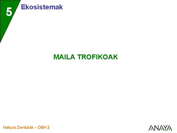5 Ekosistemak MAILA TROFIKOAK Natura Zientziak – DBH 2 