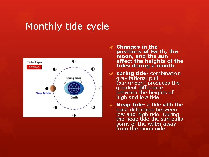 Monthly tide cycle Changes in the positions of Earth, the moon, and the sun