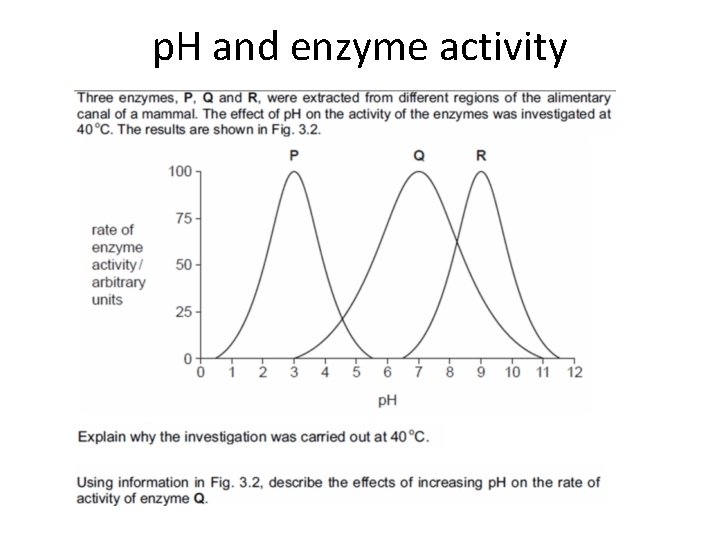 p. H and enzyme activity 