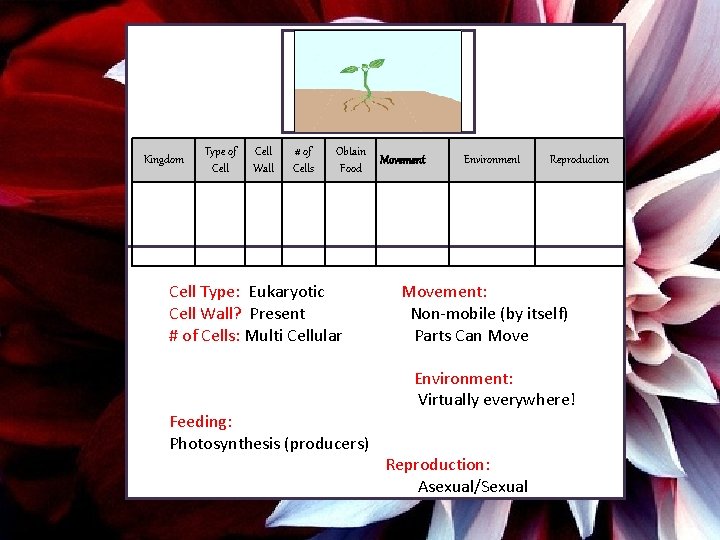 Kingdom Type of Cell Wall # of Cells Obtain Food Cell Type: Eukaryotic Cell