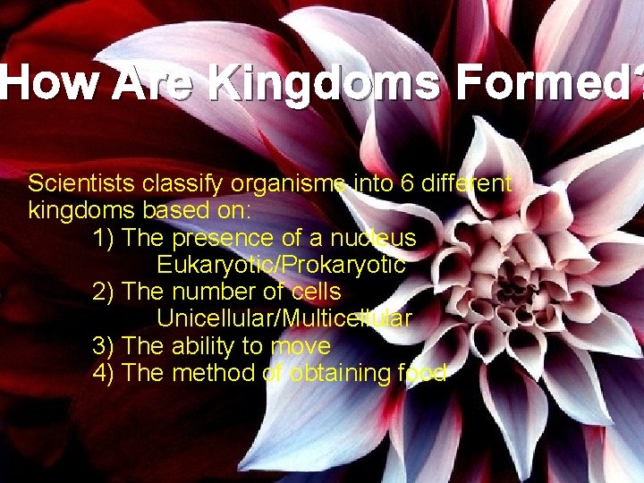 How Are Kingdoms Formed? Scientists classify organisms into 6 different kingdoms based on: 1)