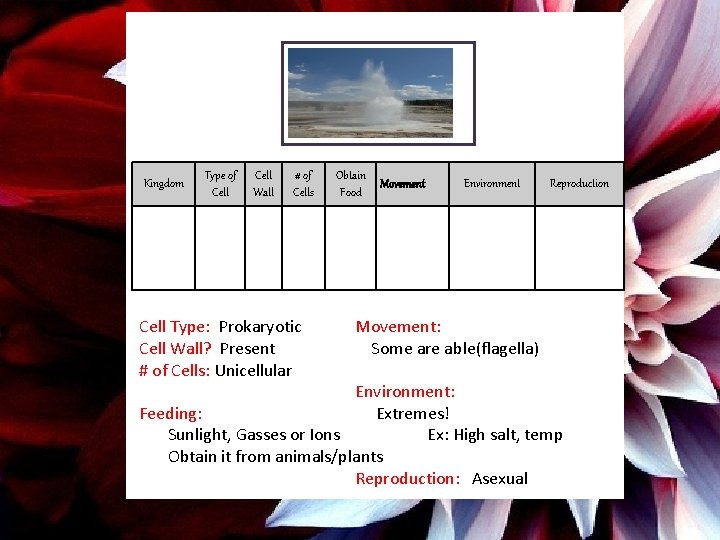 Kingdom Type of Cell Wall # of Cells Cell Type: Prokaryotic Cell Wall? Present