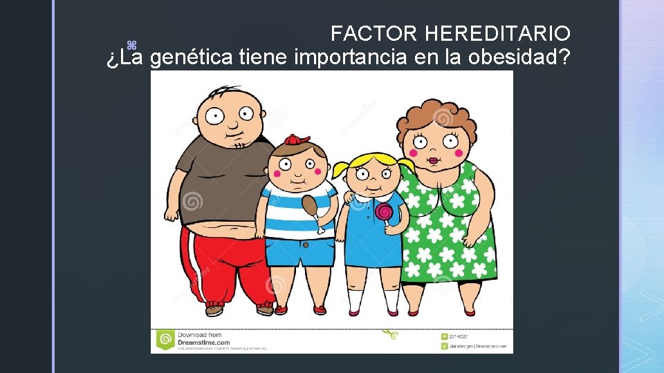 FACTOR HEREDITARIO ¿La genética tiene importancia en la obesidad? z FACTOR HEREDITARIO ¿La genética tiene importancia en la obesidad? z