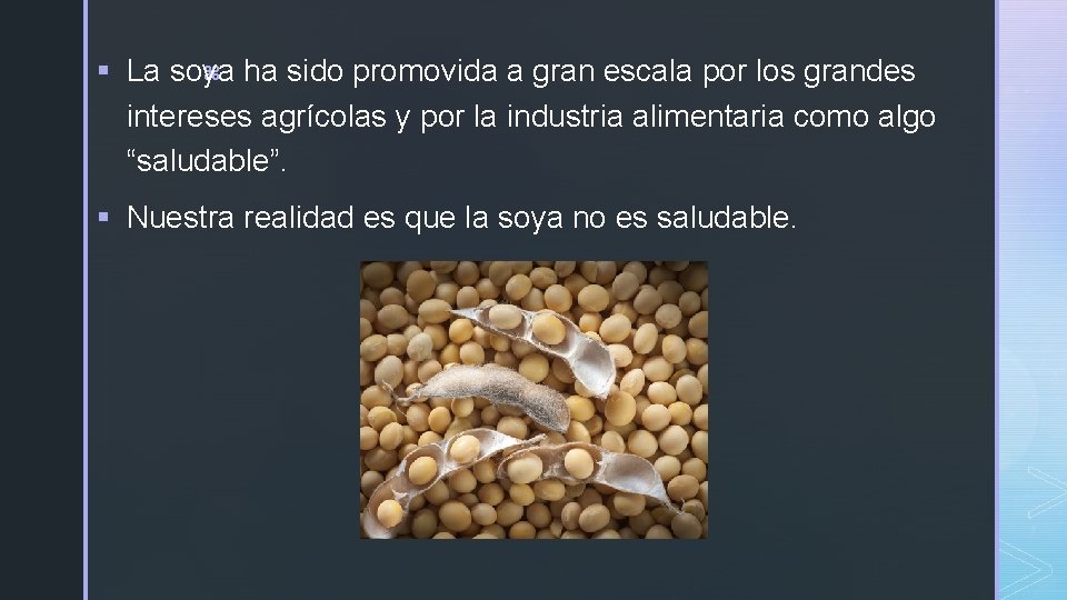 z ha sido promovida a gran escala por los grandes § La soya intereses z ha sido promovida a gran escala por los grandes § La soya intereses