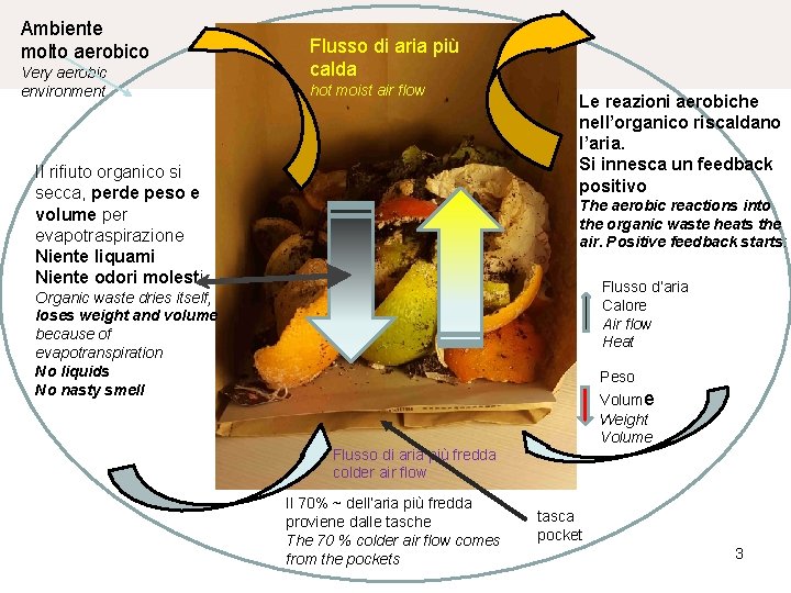 Ambiente molto aerobico Very aerobic environment Flusso di aria più calda hot moist air