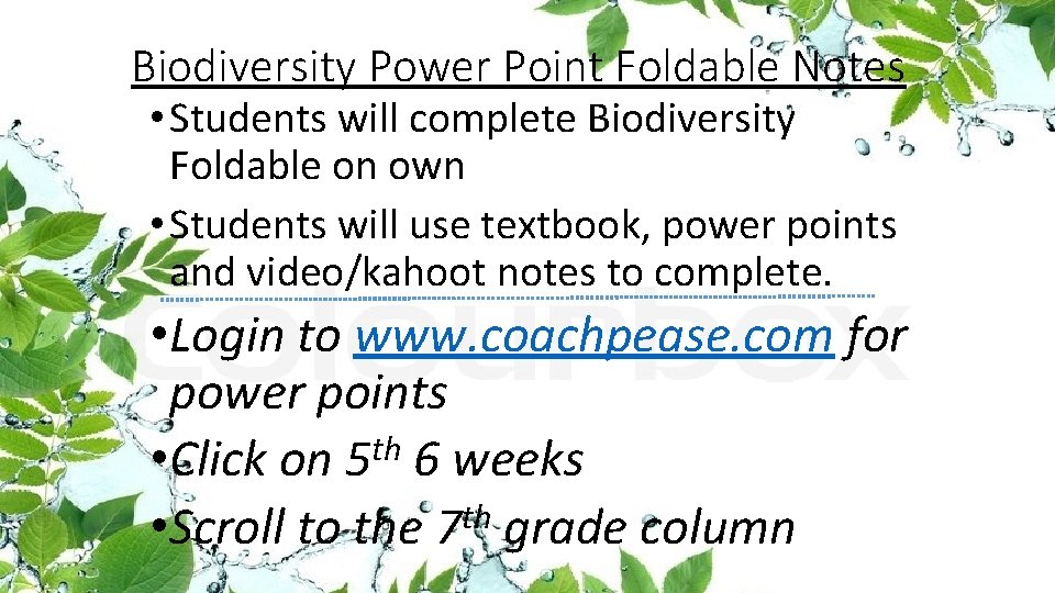 Biodiversity Power Point Foldable Notes • Students will complete Biodiversity Foldable on own •