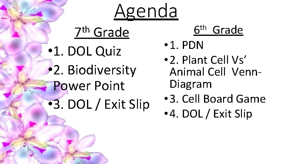 th 7 Agenda Grade • 1. DOL Quiz • 2. Biodiversity Power Point •