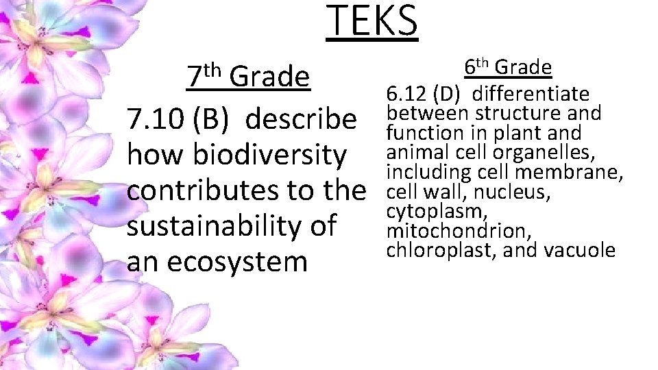 TEKS th 7 Grade 7. 10 (B) describe how biodiversity contributes to the sustainability