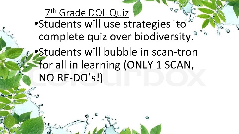 7 th Grade DOL Quiz • Students will use strategies to complete quiz over