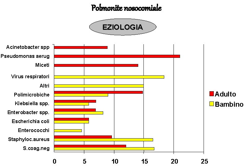 Polmonite nosocomiale EZIOLOGIA Acinetobacter spp Pseudomonas aerug Miceti Virus respiratori Altri Polimicrobiche Adulto Klebsiella