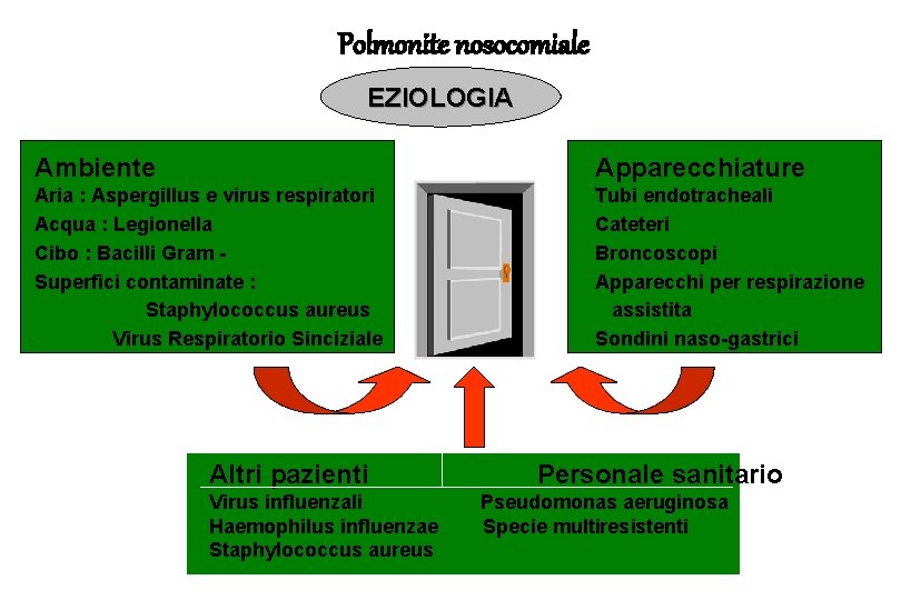 Polmonite nosocomiale EZIOLOGIA Ambiente Apparecchiature Aria : Aspergillus e virus respiratori Acqua : Legionella