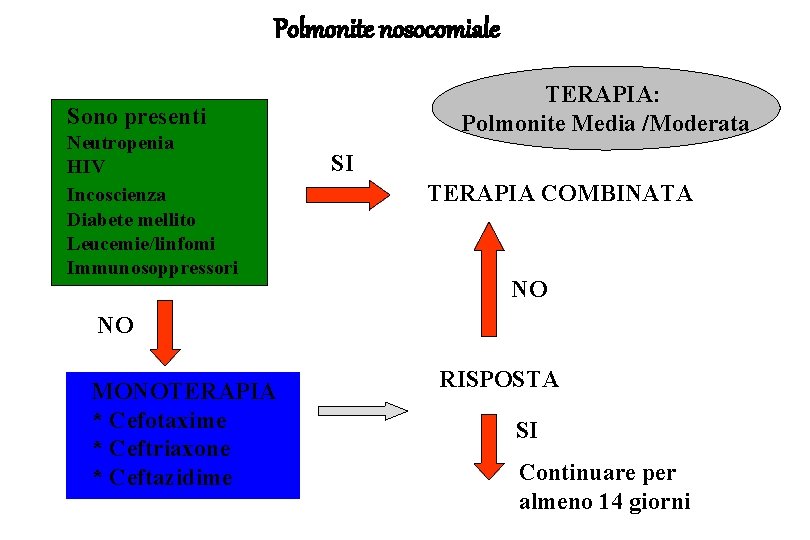 Polmonite nosocomiale TERAPIA: Polmonite Media /Moderata Sono presenti Neutropenia HIV Incoscienza Diabete mellito Leucemie/linfomi