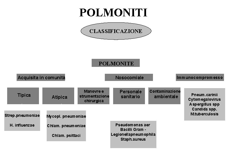 POLMONITI CLASSIFICAZIONE POLMONITE Acquisita in comunità Tipica Atipica Immunocompromesso Nosocomiale Manovre e strumentazione chirurgica