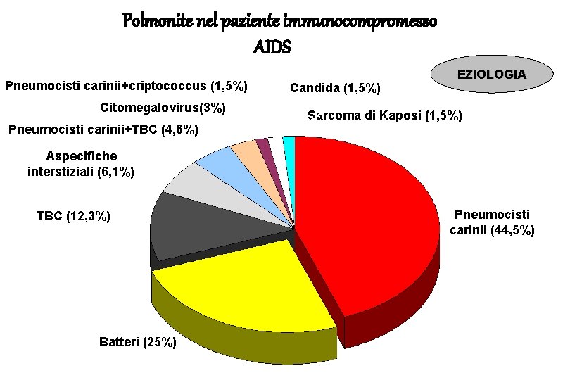 Polmonite nel paziente immunocompromesso AIDS Pneumocisti carinii+criptococcus (1, 5%) Citomegalovirus(3%) Candida (1, 5%) EZIOLOGIA