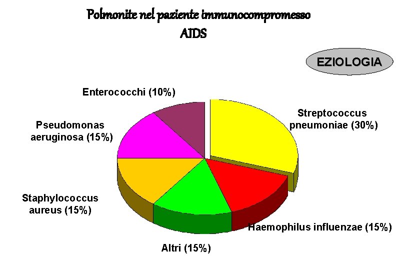Polmonite nel paziente immunocompromesso AIDS EZIOLOGIA Enterococchi (10%) Streptococcus pneumoniae (30%) Pseudomonas aeruginosa (15%)