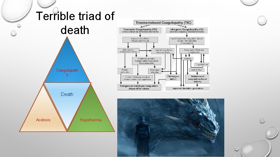 Terrible triad of death Coagulopath y Death Acidosis Hypothermia 