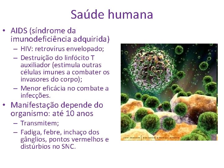 Saúde humana • AIDS (síndrome da imunodeficiência adquirida) – HIV: retrovírus envelopado; – Destruição