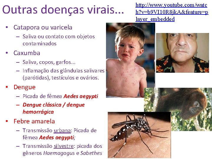 Outras doenças virais. . . • Catapora ou varicela – Saliva ou contato com