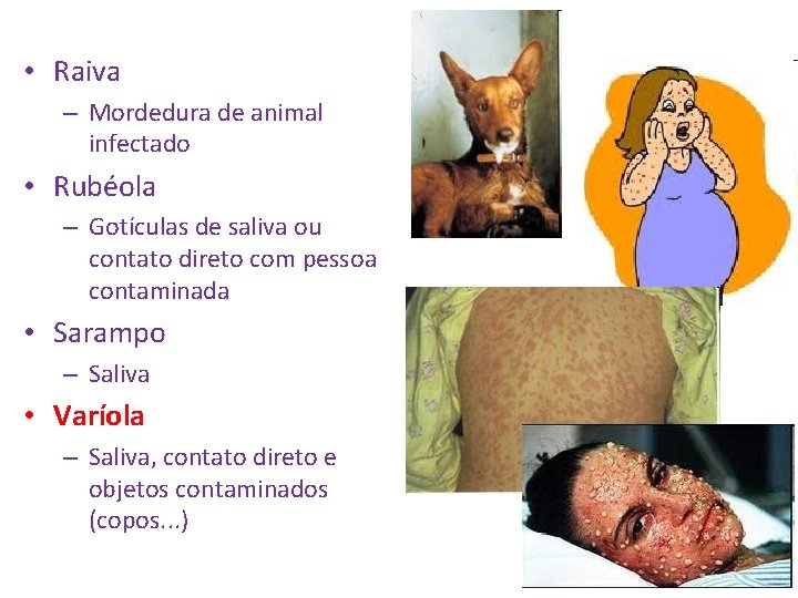  • Raiva – Mordedura de animal infectado • Rubéola – Gotículas de saliva