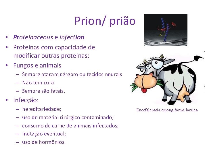 Prion/ prião • Proteinaceous e Infection • Proteínas com capacidade de modificar outras proteínas;