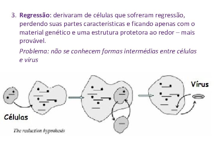 3. Regressão: derivaram de células que sofreram regressão, perdendo suas partes características e ficando