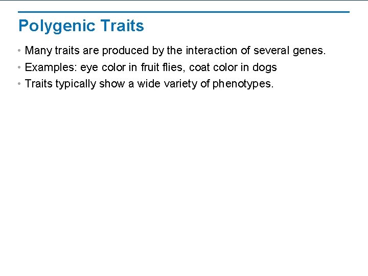Polygenic Traits • Many traits are produced by the interaction of several genes. •
