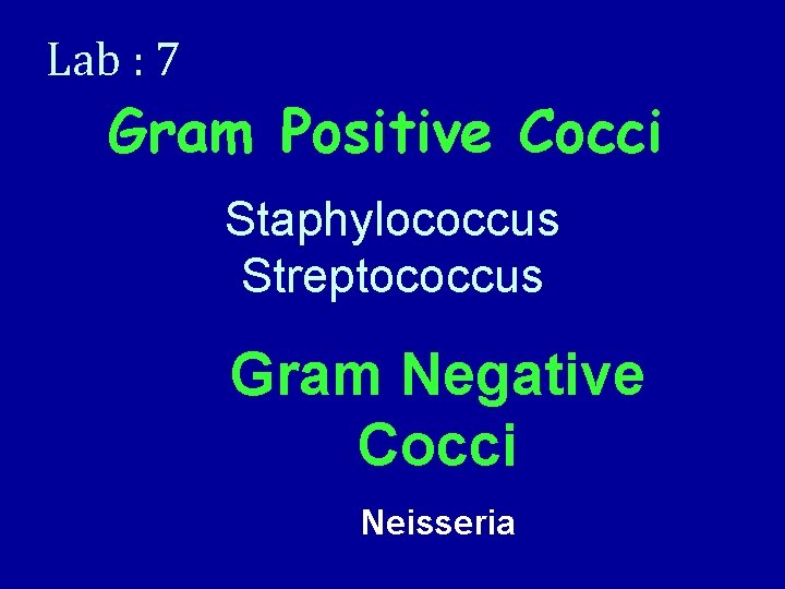 Lab : 7 Gram Positive Cocci Staphylococcus Streptococcus Gram Negative Cocci Neisseria 