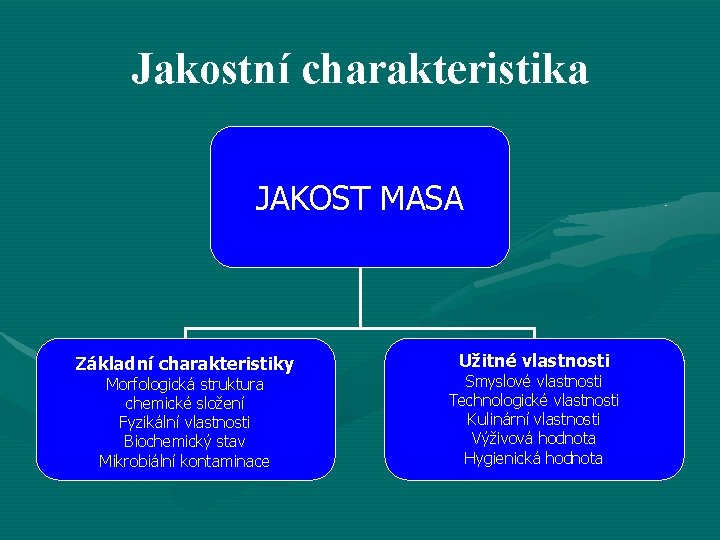 Jakostní charakteristika JAKOST MASA Základní charakteristiky Morfologická struktura chemické složení Fyzikální vlastnosti Biochemický stav