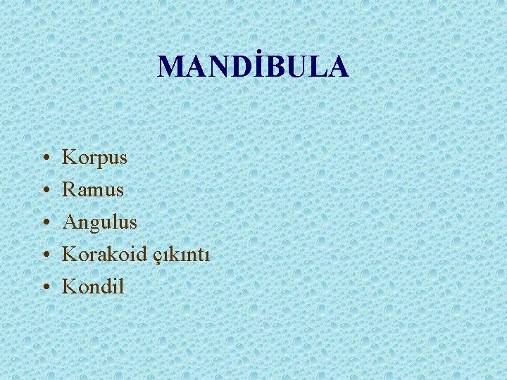 MANDİBULA • • • Korpus Ramus Angulus Korakoid çıkıntı Kondil 