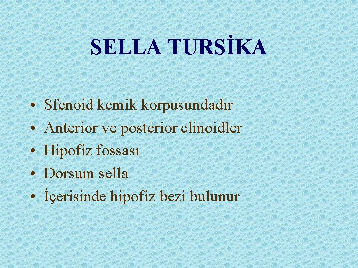 SELLA TURSİKA • • • Sfenoid kemik korpusundadır Anterior ve posterior clinoidler Hipofiz fossası