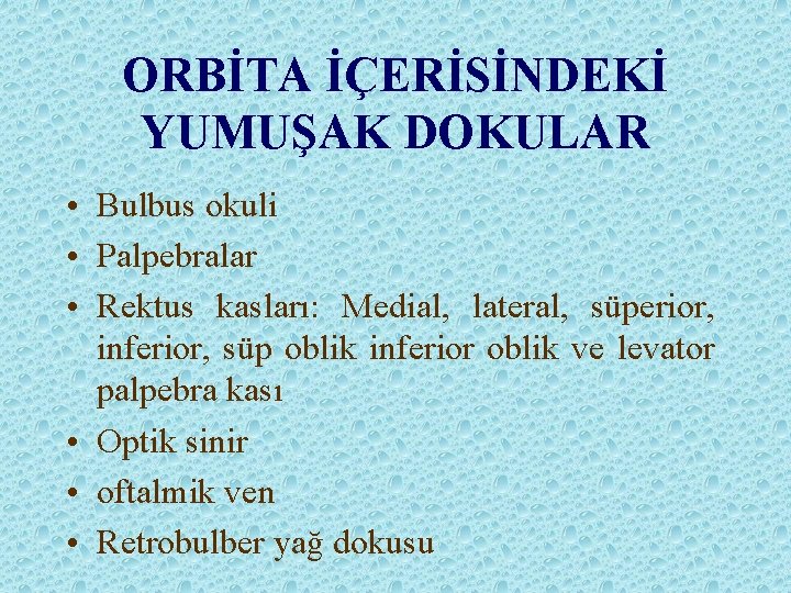 ORBİTA İÇERİSİNDEKİ YUMUŞAK DOKULAR • Bulbus okuli • Palpebralar • Rektus kasları: Medial, lateral,