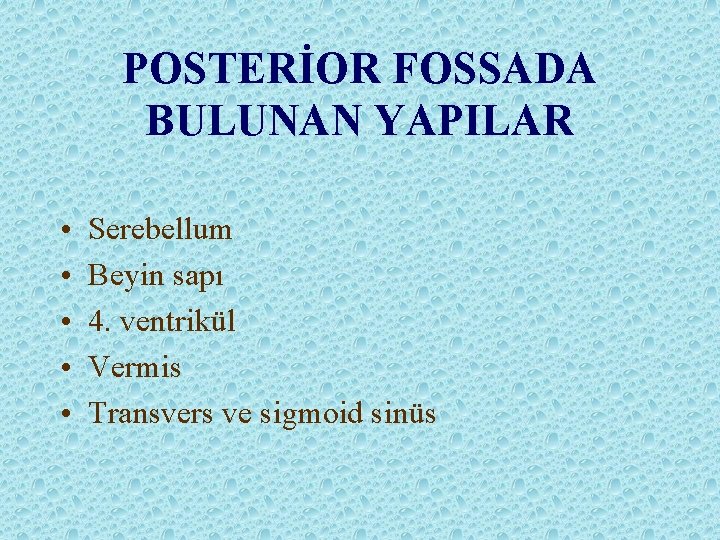 POSTERİOR FOSSADA BULUNAN YAPILAR • • • Serebellum Beyin sapı 4. ventrikül Vermis Transvers