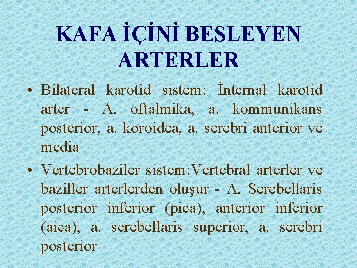 KAFA İÇİNİ BESLEYEN ARTERLER • Bilateral karotid sistem: İnternal karotid arter - A. oftalmika,