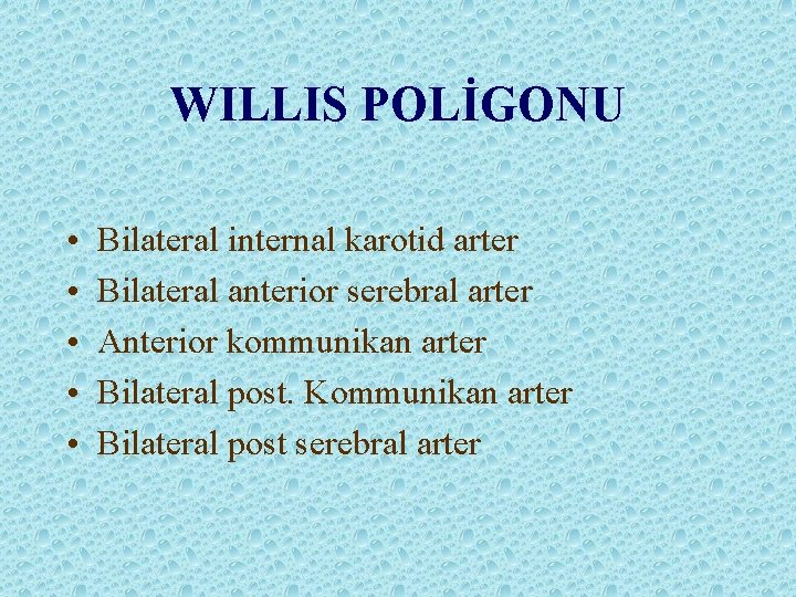 WILLIS POLİGONU • • • Bilateral internal karotid arter Bilateral anterior serebral arter Anterior