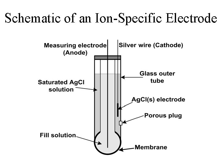 Schematic of an Ion-Specific Electrode 