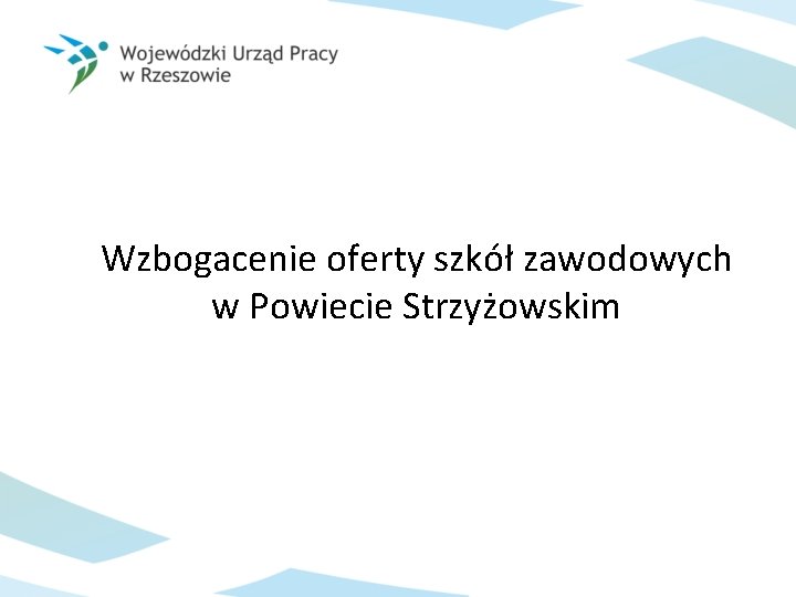 Wzbogacenie oferty szkół zawodowych w Powiecie Strzyżowskim 