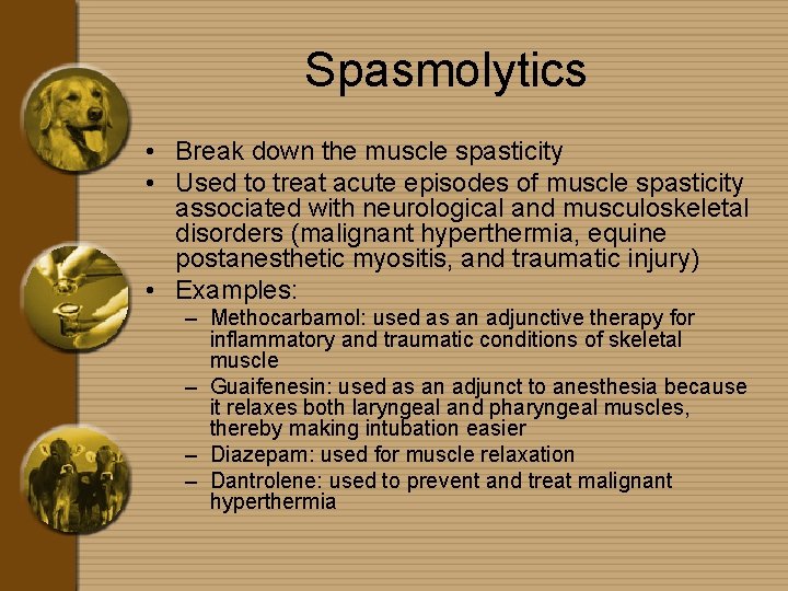 Spasmolytics • Break down the muscle spasticity • Used to treat acute episodes of