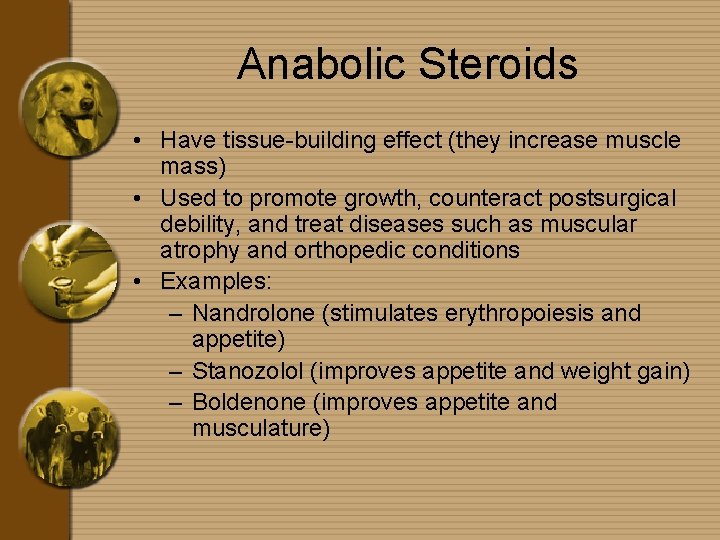 Anabolic Steroids • Have tissue-building effect (they increase muscle mass) • Used to promote