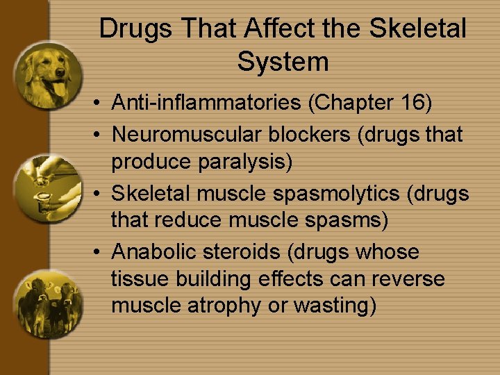 Drugs That Affect the Skeletal System • Anti-inflammatories (Chapter 16) • Neuromuscular blockers (drugs