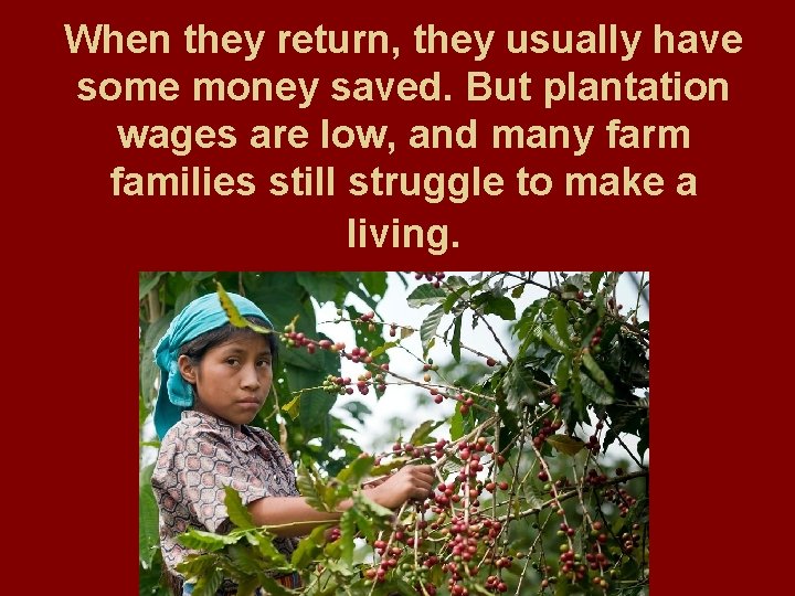 When they return, they usually have some money saved. But plantation wages are low,