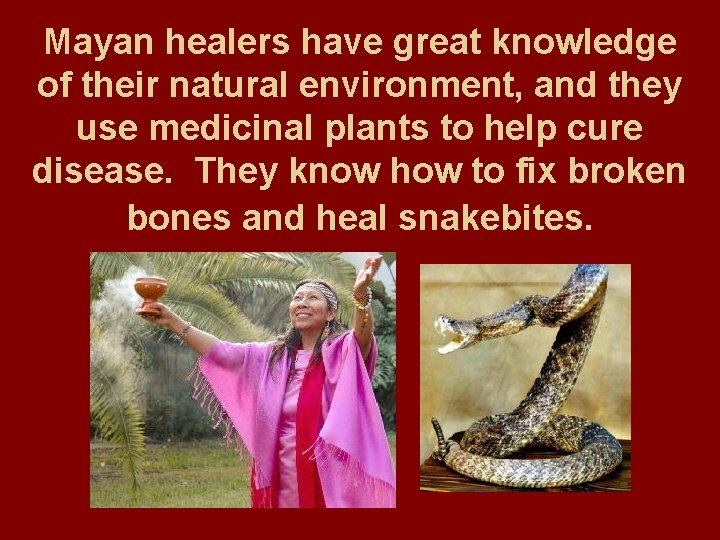 Mayan healers have great knowledge of their natural environment, and they use medicinal plants