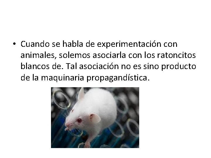  • Cuando se habla de experimentación con animales, solemos asociarla con los ratoncitos