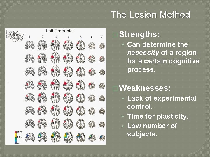 The Lesion Method � Strengths: • Can determine the necessity of a region for