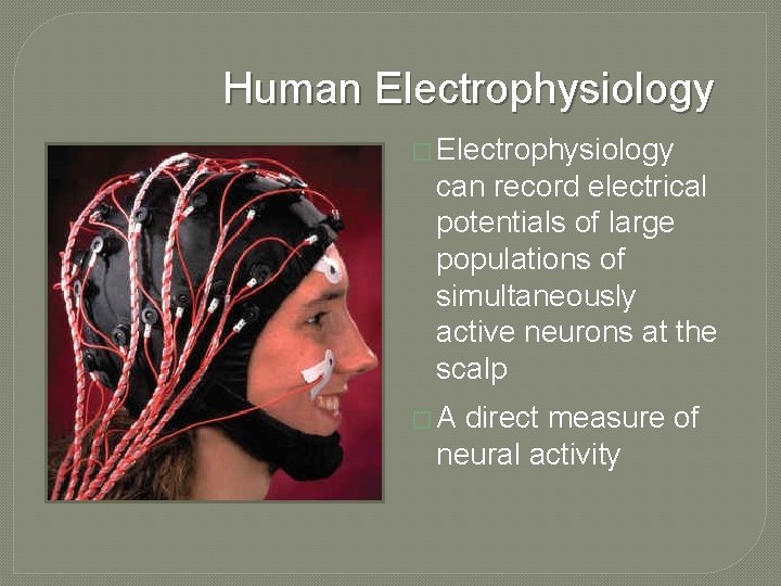 Human Electrophysiology � Electrophysiology can record electrical potentials of large populations of simultaneously active